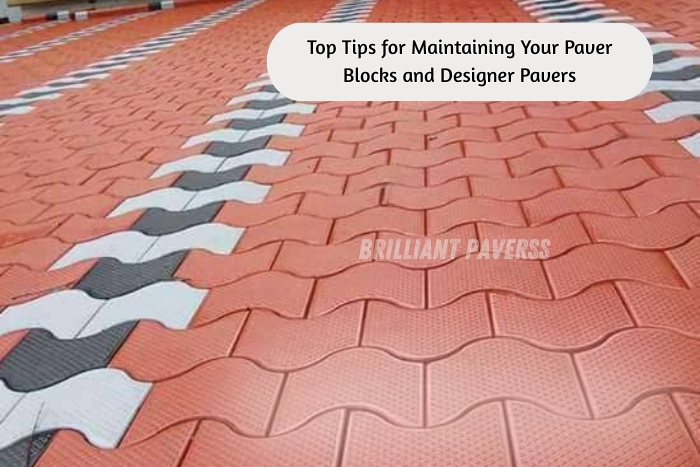 Designer paver blocks maintenance and cleaning solutions by Brilliant Paverss, Coimbatore for long-lasting outdoor flooring